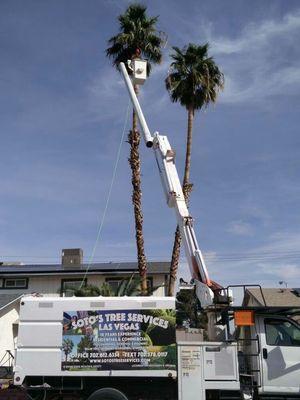 Soto’s Tree Services