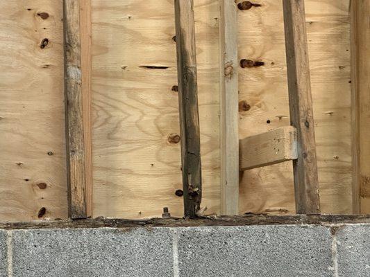 Red Carpet Remodeling