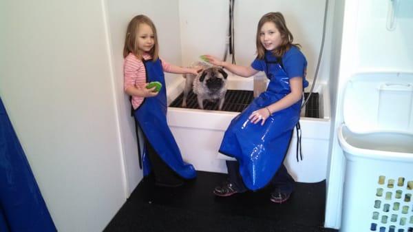 Dirty Dawgs Self Serve Pet Wash & Groom