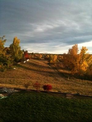 Homestead In the Willows Homeowners Pool