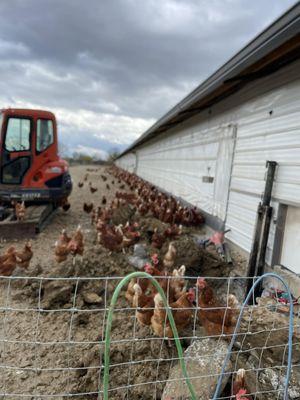 Advanced Foundation Repair