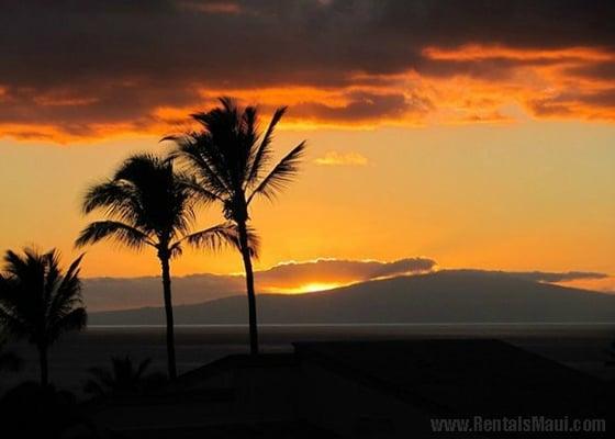 Rentals Maui