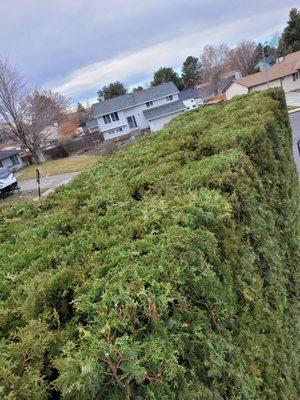 Green Hills Landscaping & Lawn Care