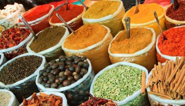 photo of Danielle F.