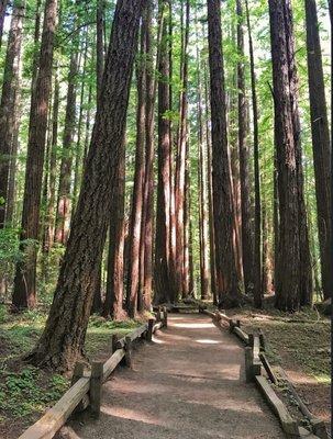 photo of Samantha T.