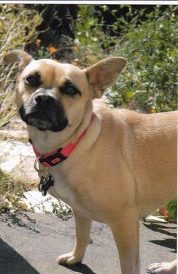 photo of Kathleen C.