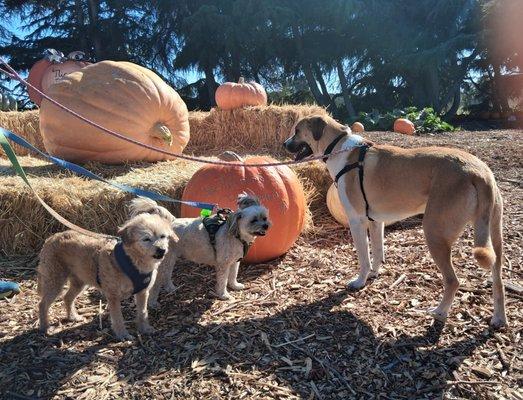 photo of Patricia R.