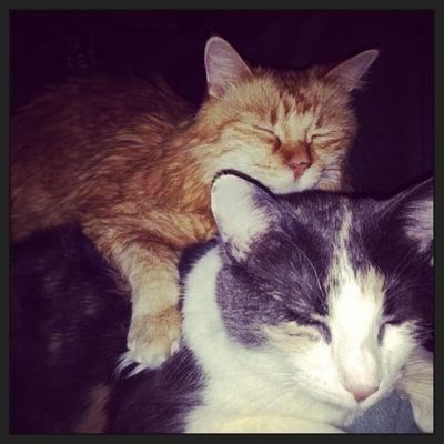 photo of Catherine N.