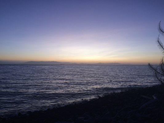 Photo of Janine T.