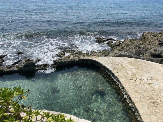 photo of Emanuelle Z.