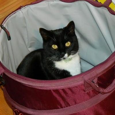 photo of Samantha H.