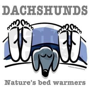 Photo of Carmella B.