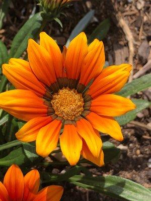 Photo of Yadi Puente L.