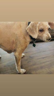 photo of Villivalam V.