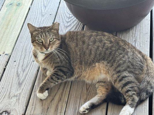 photo of Cindy Aka Noni Y.