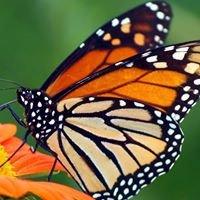 photo of Kimberly N.