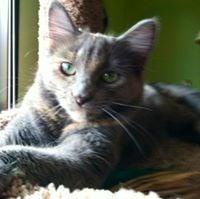 Photo of Peggy D.