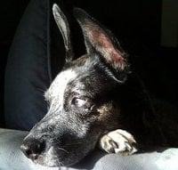 photo of Jennifer G.