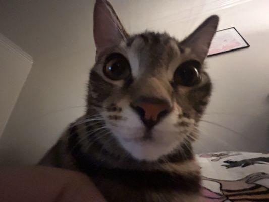 photo of Kimberly R.