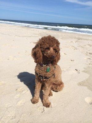 photo of Marianne H.