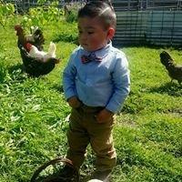 photo of Itos N Tina H.