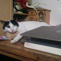 photo of Lorraine M.