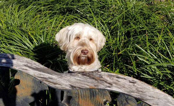 Photo of Hyjinx L.