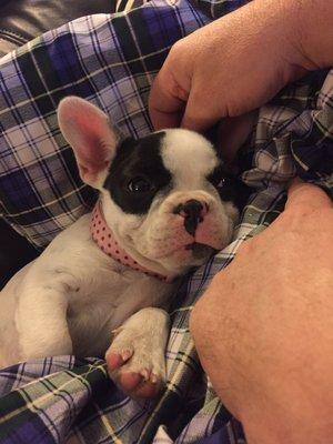 photo of Yaowaluk S.