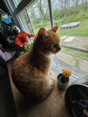 Photo of SySy G.