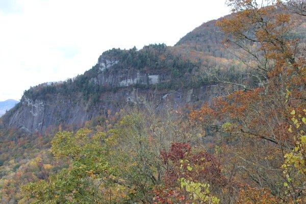 photo of Rosalind B.