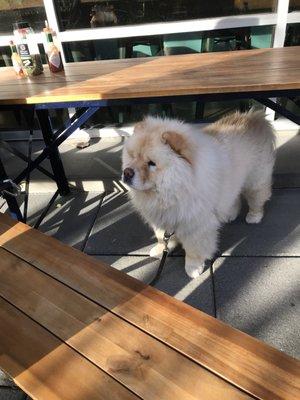 photo of Laurence Z.