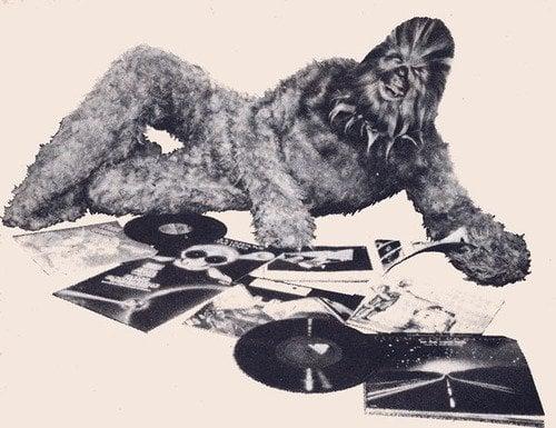 photo of Air P.