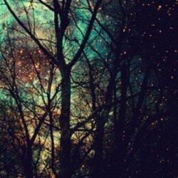Photo of Starry Night E.