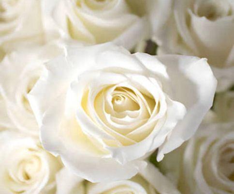 photo of Jennifer M.