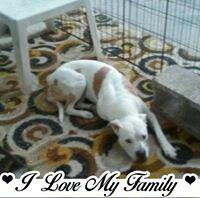 Photo of Tinia J.