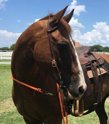 Photo of Michelle K.