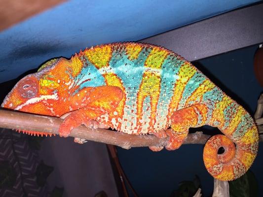 photo of christian s.