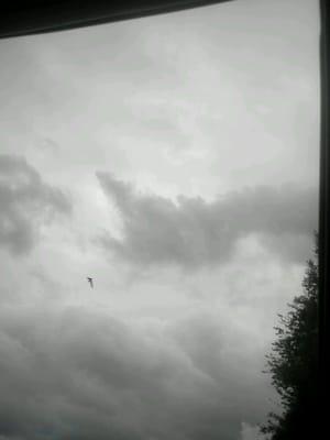 photo of Michelle B.