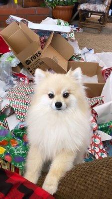 photo of Brittany R.