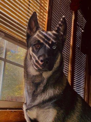 photo of MS R.