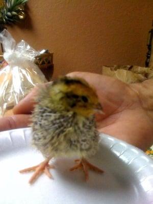 Photo of Christine G.