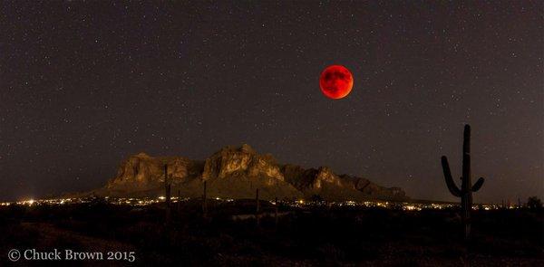 photo of Terry And MaryAnna W.