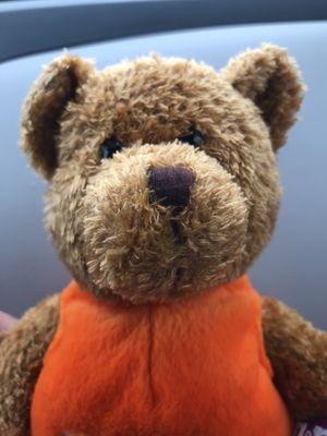Photo of Ted L.