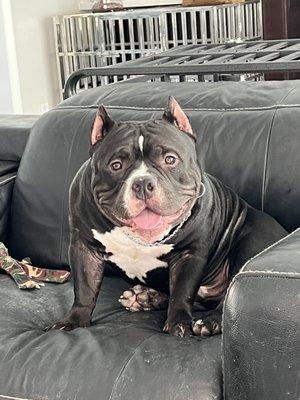 photo of Jacqueline P.