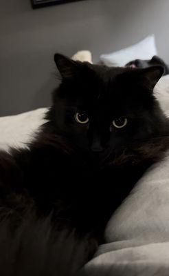 photo of Elizabeth P.