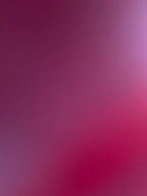 photo of Rosalinda N.