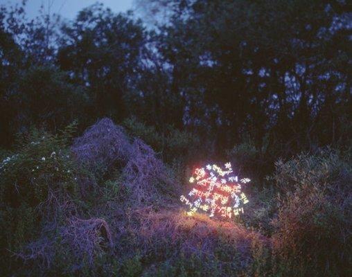 photo of Leialoha H.