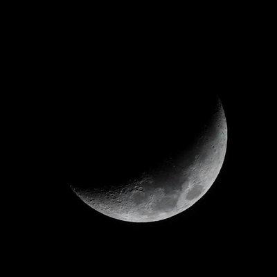 photo of Stephanie E.