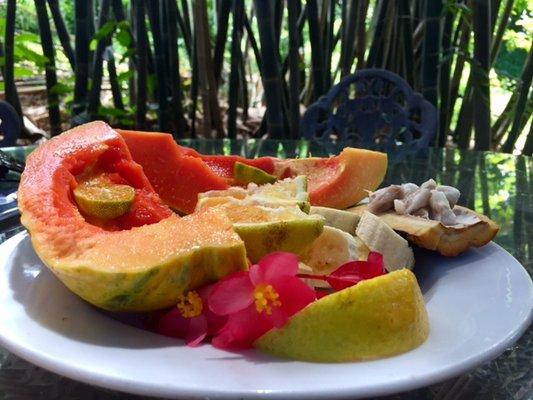 photo of Christine R.