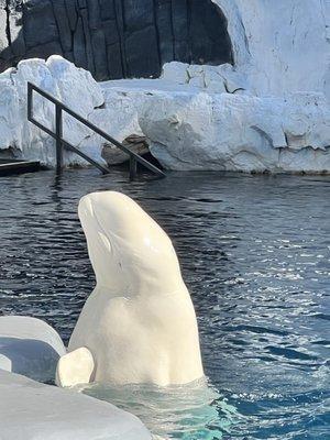 photo of Vera Faith E.